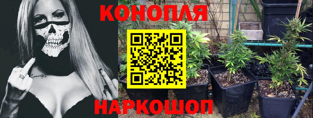 Алейск  МАРИХУАНА SATIVA & INDICA  Вход с VPN  Бошки марихуана план  МАРИХУАНА конопля  Конопля VHQ 
